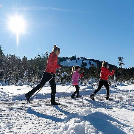 Ferienhaus Sinz Schwarzenberg im Bregenzerwald Exteriör bild
